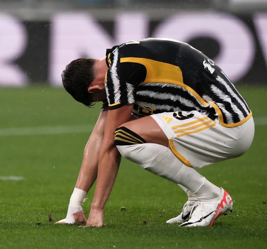 在体育领域 在体育领域