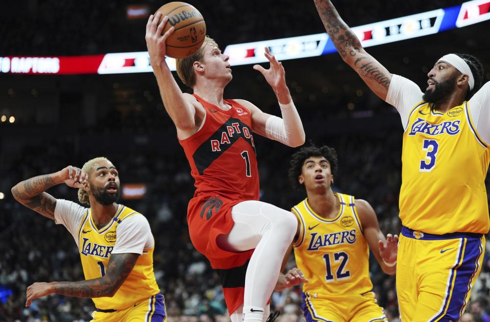 的成长提供 的成长提供